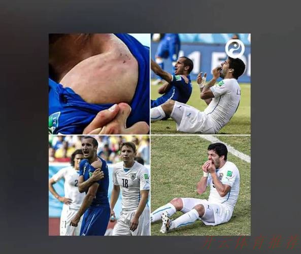 KAI YUN SPORT:基耶利尼算不算顶级后卫,他球员时期的表现怎么样? KAI YUN SPORT:基耶利尼算不算顶级后卫,他球员时期的表现怎么样?